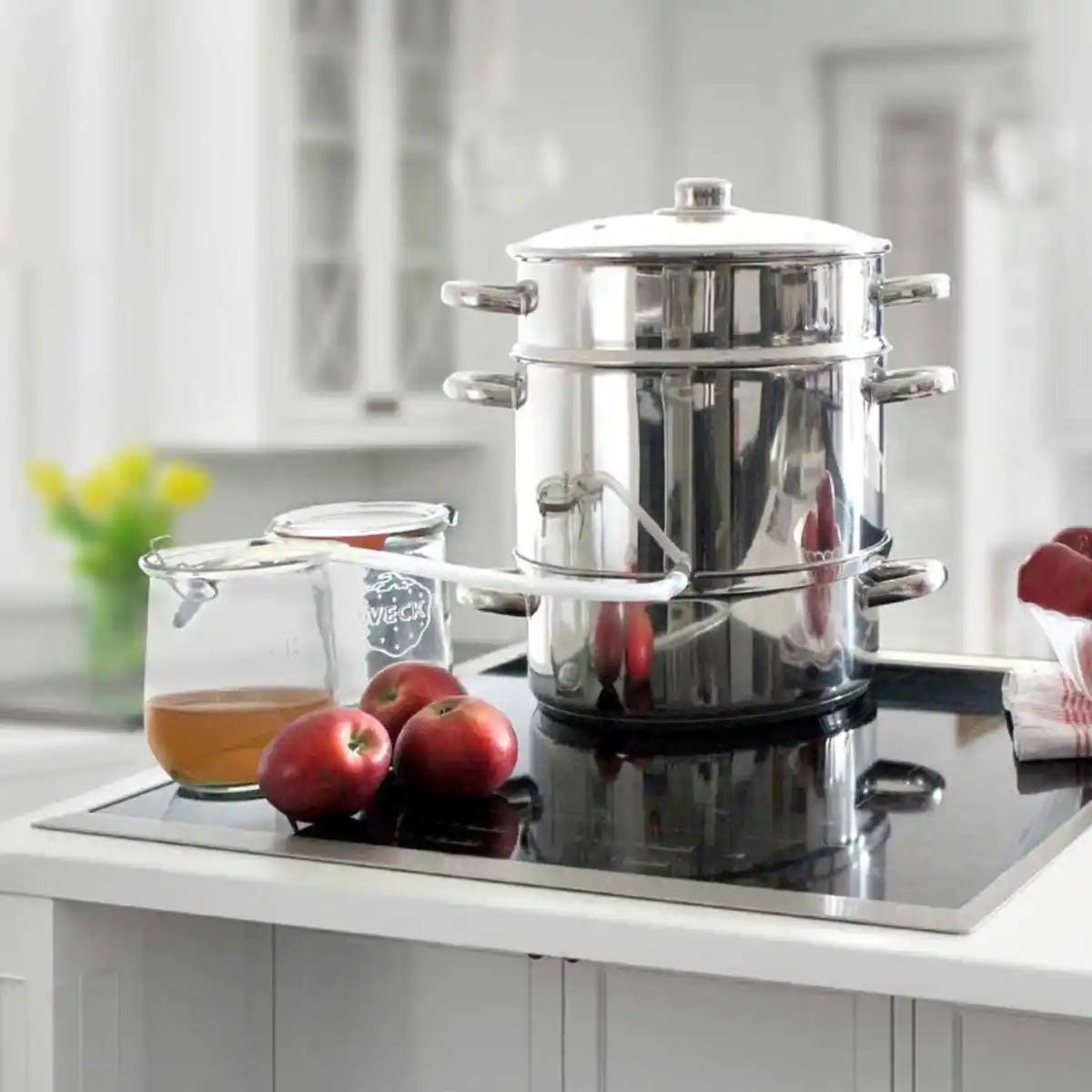 Bild 1 von Edelstahl-Dampfentsafter