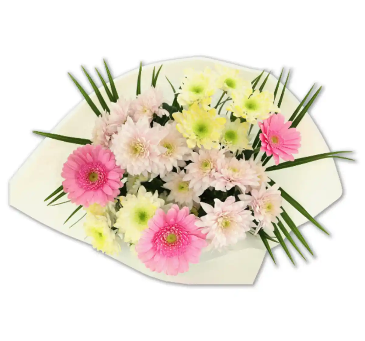 Bild 1 von Strauß „Wonderful“*