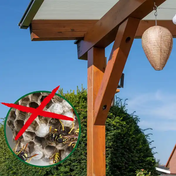 Bild 4 von Wespen-Frei Premium 2er-Set Wespennest
