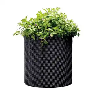 Keter Pflanz-Zylinder M 35x37cm