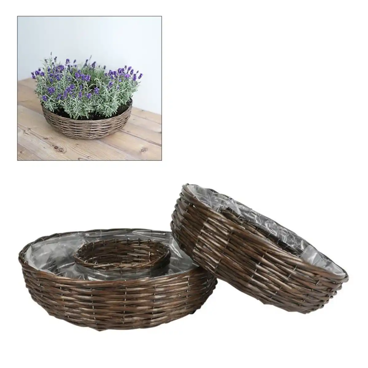 Bild 1 von Pflanz-Weidenkränze 2er-Set Mit diesem schönen Set