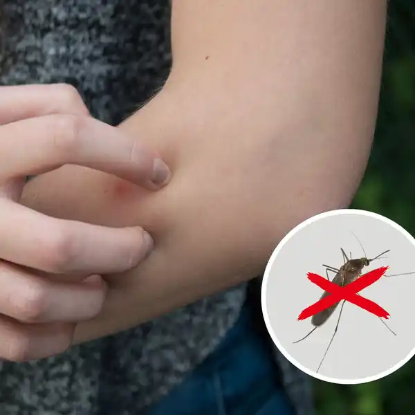 Bild 3 von Gardigo Insektenvernichter-Stecker