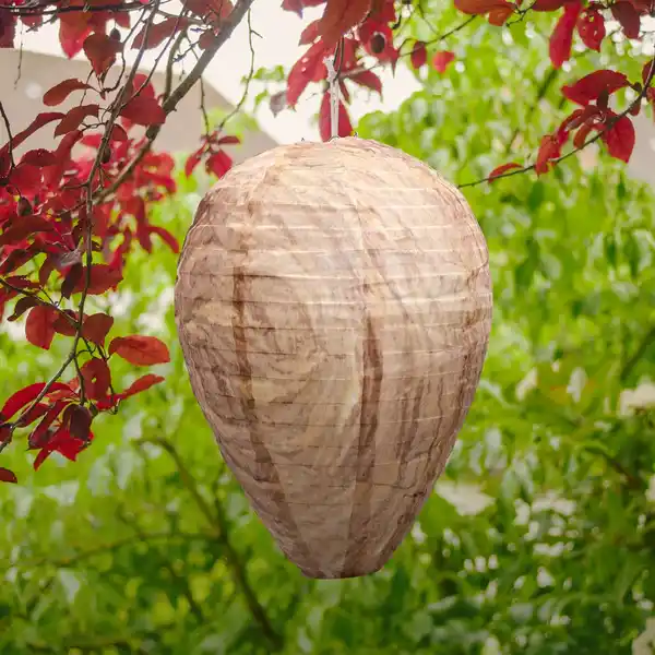 Bild 2 von Wespen-Frei Premium 2er-Set Wespennest