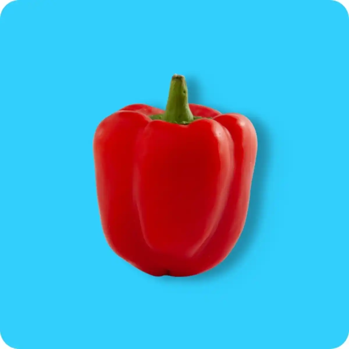 Bild 1 von   Paprika, rot, Ursprung: Niederlande