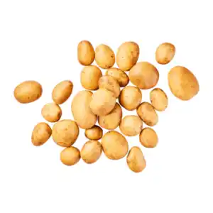 Speisefrühkartoffeln 1,5kg