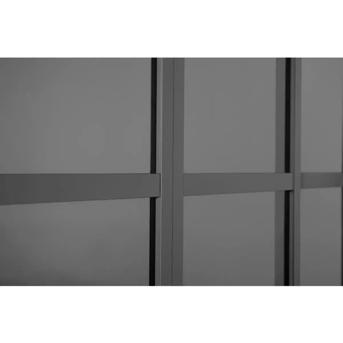 Bild 2 von Schiebetür, Höhe: 236 cm, anthrazit, pulverbeschichtet