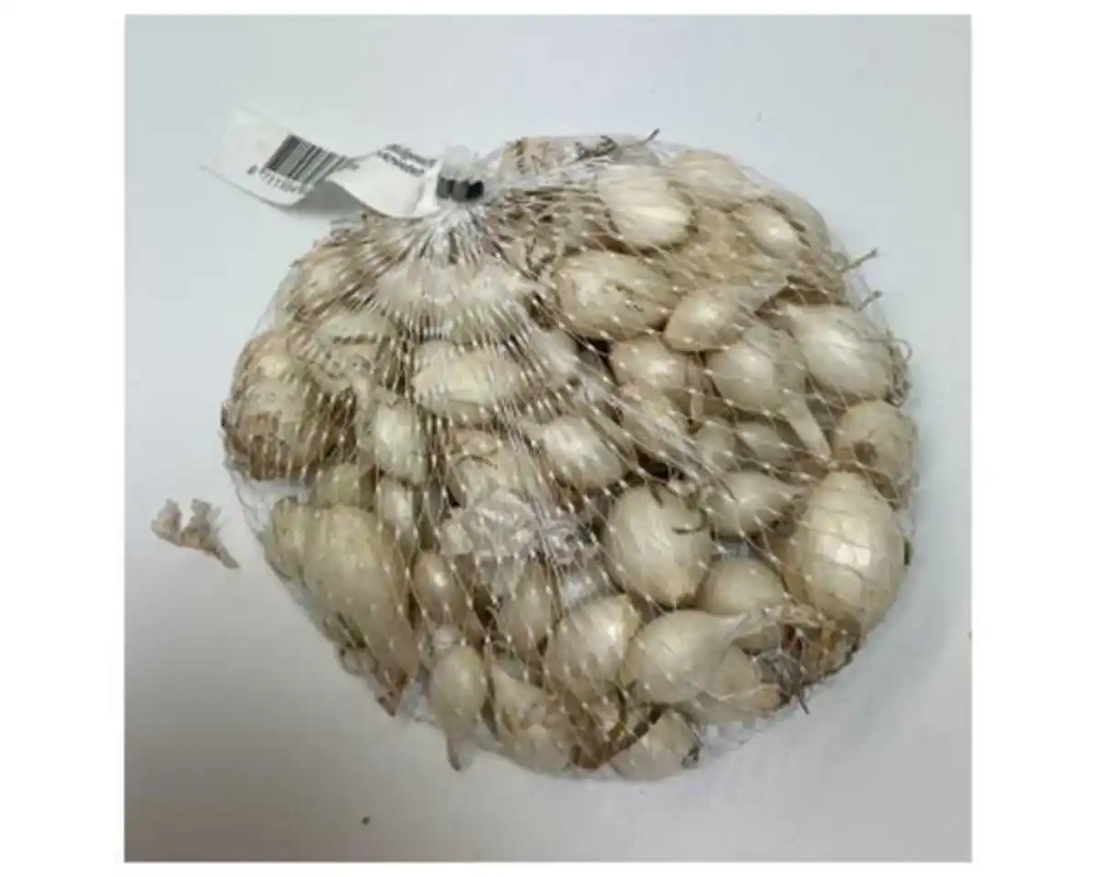 Bild 1 von Steckzwiebeln Snowball