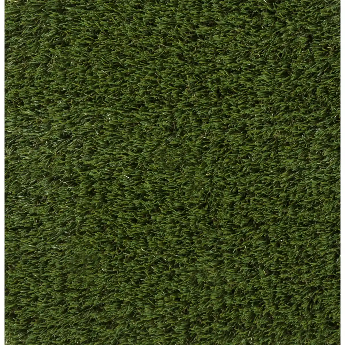 Bild 1 von Rasenteppich 'Maui' 200 x 3000 cm grün