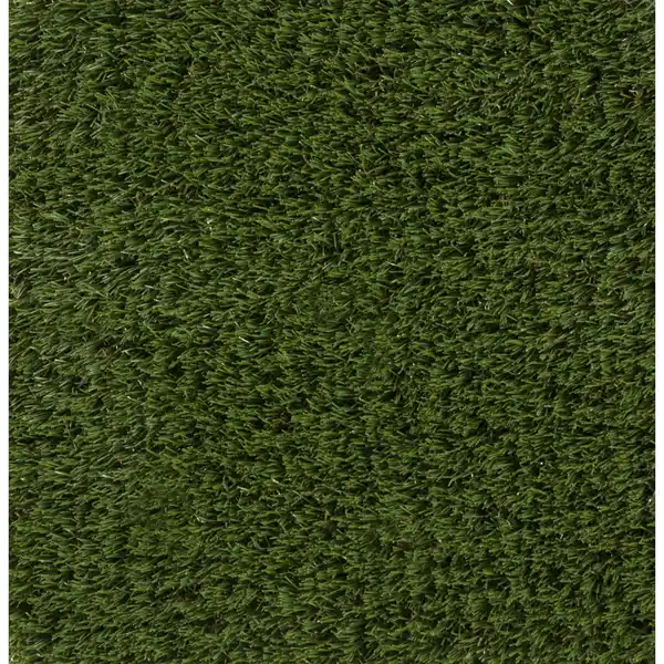 Bild 1 von Rasenteppich 'Maui' 200 x 3000 cm grün