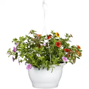 toom Petunie Trio 27 cm Wasserspeicher-Ampeltopf