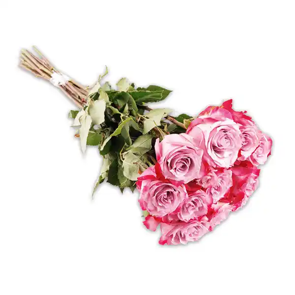 Bild 2 von Premium Floristenrosen