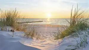 Precise Resort Rügen