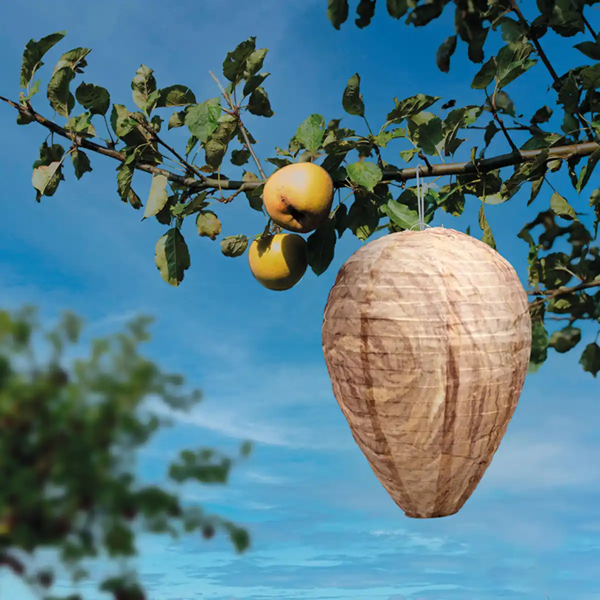 Bild 1 von Gardigo Wespenfrei Premium 2er-Set