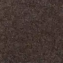 Bild 1 von Rasenteppich 'Ambrosia No. 313' 400 x 3000 cm braun