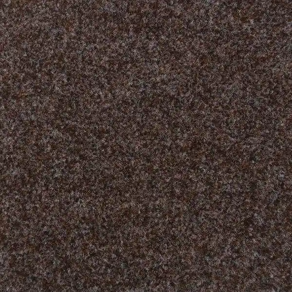 Bild 1 von Rasenteppich 'Ambrosia No. 313' 400 x 3000 cm braun