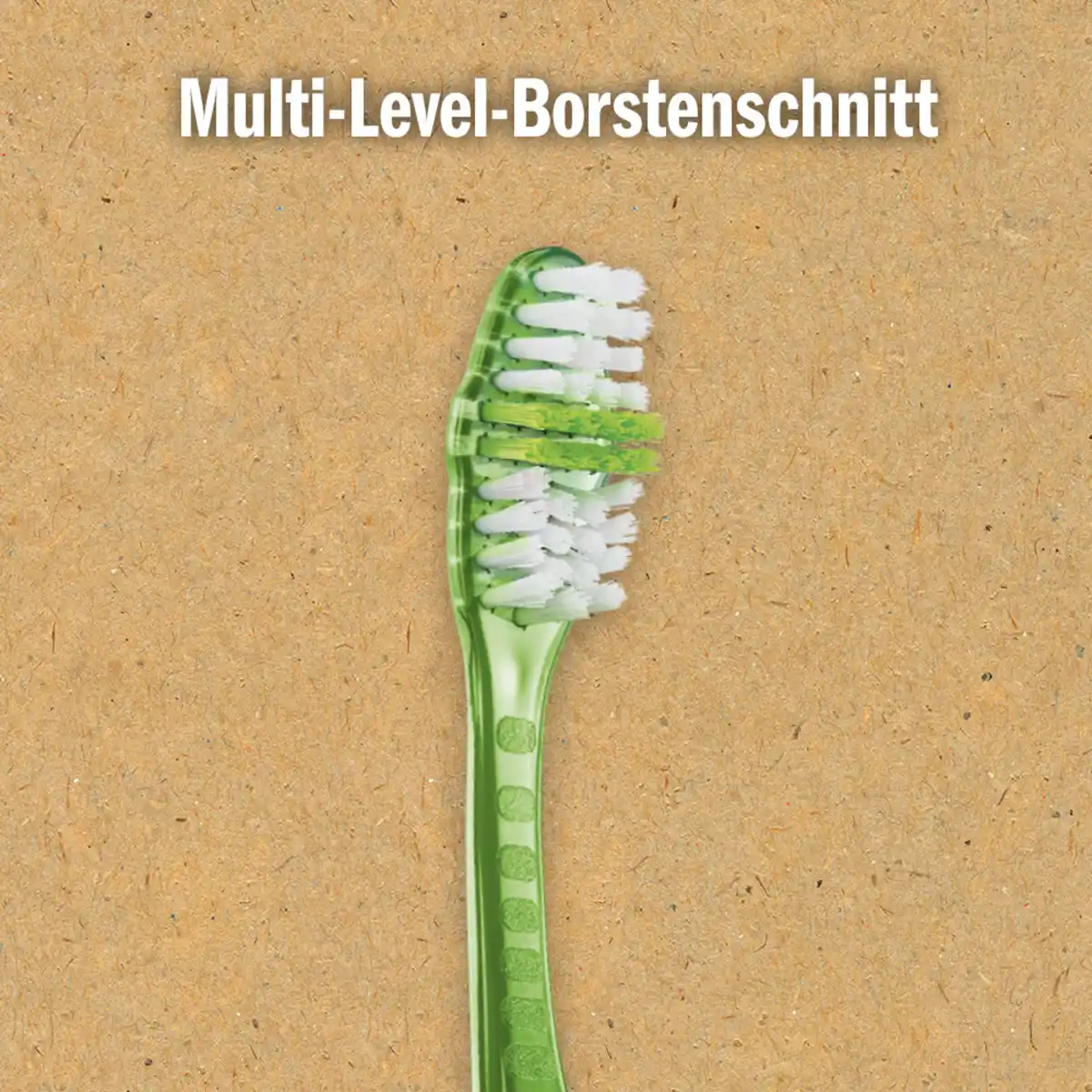 Bild 4 von prokudent Recycling Zahnbürste mittel