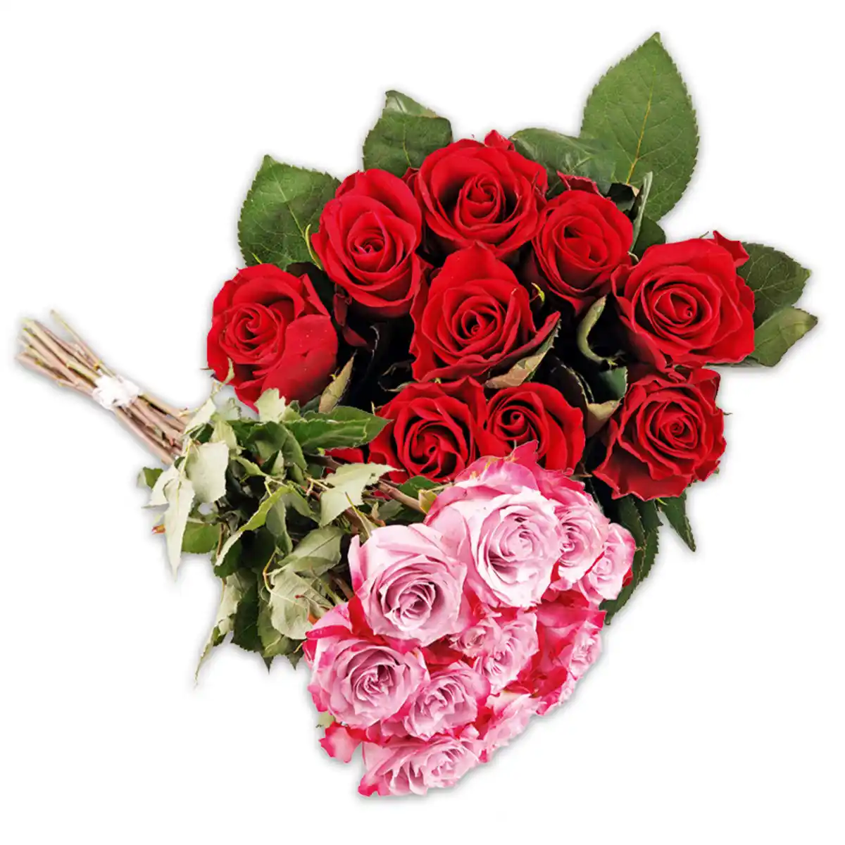 Bild 1 von Premium Floristenrosen