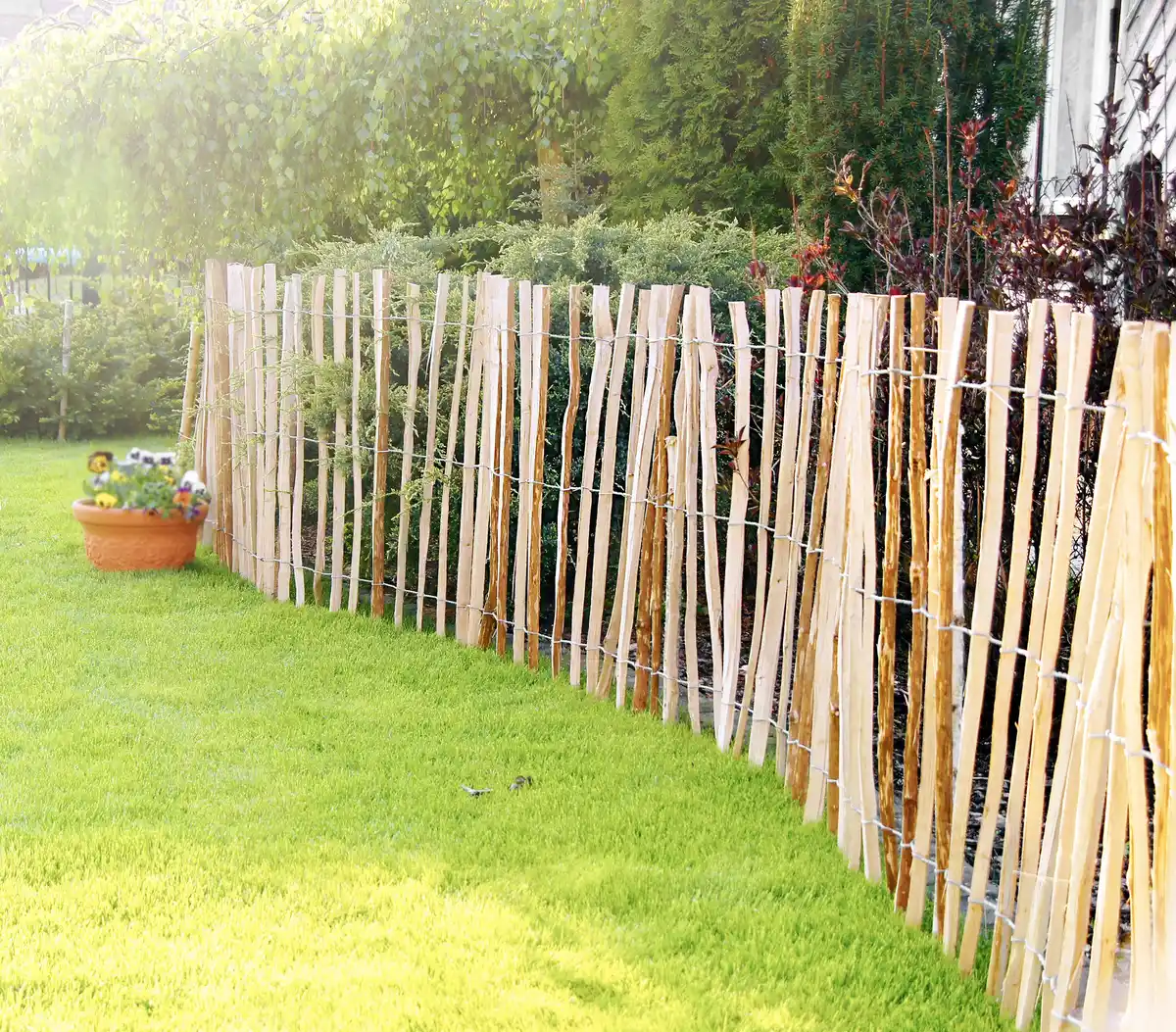 Bild 1 von Staketenzaun Mila 60 x 300 cm, gerollt
