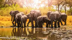 Rundreisen Namibia, Botswana & Simbabwe: Die Seele Afrikas hautnah erleben