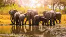 Bild 1 von Rundreisen Namibia, Botswana & Simbabwe: Die Seele Afrikas hautnah erleben