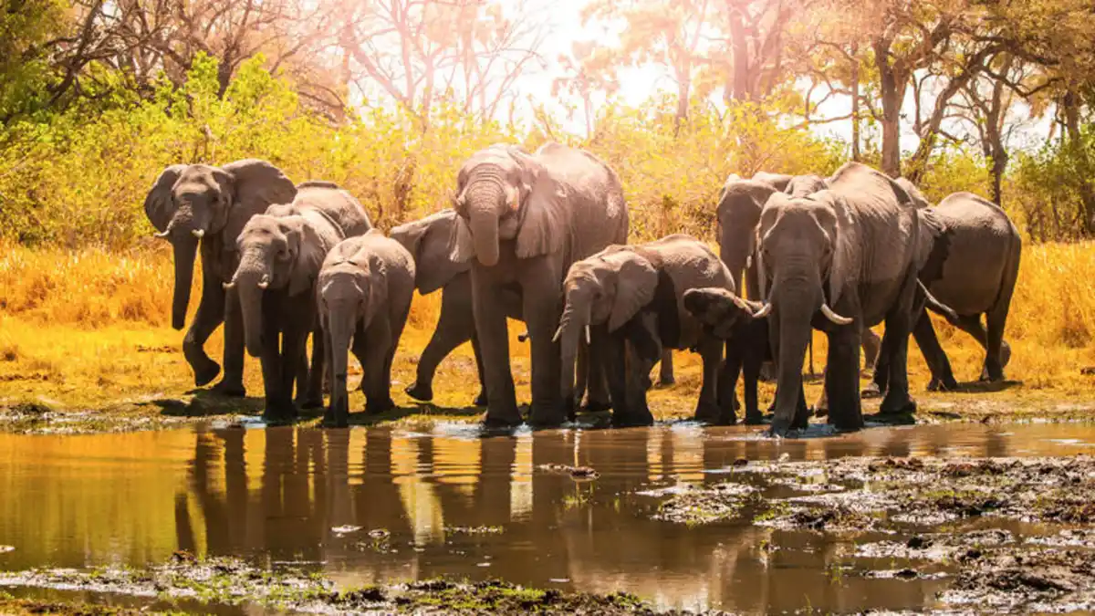 Bild 1 von Rundreisen Namibia, Botswana & Simbabwe: Die Seele Afrikas hautnah erleben