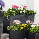 Bild 1 von Powertec Garden Pflanzgefäß "Florenz"