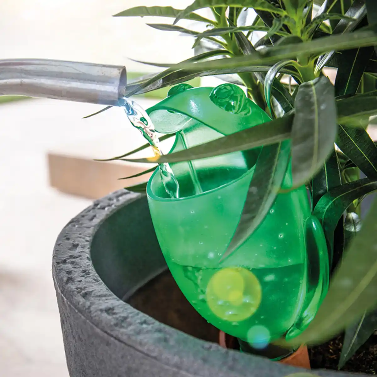 Bild 1 von Scheurich Trendige Pflanzenbewässerung