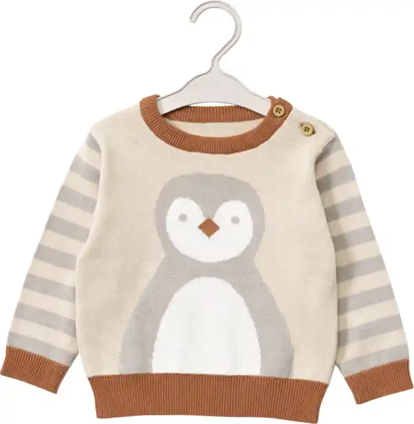 Bild 1 von ALANA Pullover mit Pinguin-Motiv, beige & grau, Gr. 80