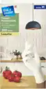 Bild 1 von flink & sauber Einmal-Handschuhe Nitril Gr. M