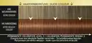 Bild 3 von Syoss Professional Performance Oleo Intense Permanente Öl-Coloration 6-76 Warmes Kupfer