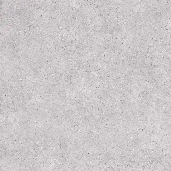 Bild 1 von Bodenfliese Feinsteinzeug Malmo Silver 60 x 60 cm silber