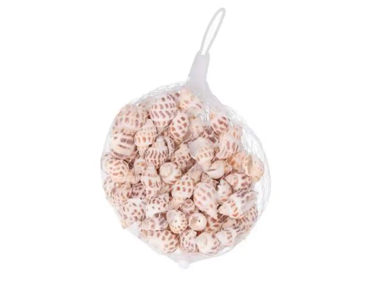 Bild 1 von Deko–Muscheln im Netz