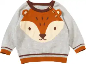ALANA Pullover aus Strick mit 3D-Applikation, grau, Gr. 86