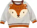 Bild 1 von ALANA Pullover aus Strick mit 3D-Applikation, grau, Gr. 86