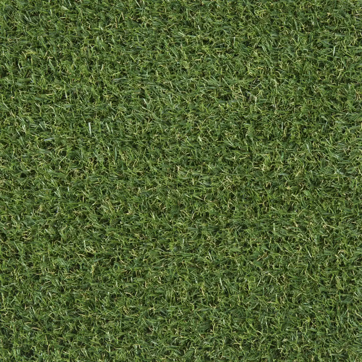 Bild 1 von Rasenteppich 'Moga' 400 x 3000 cm grün