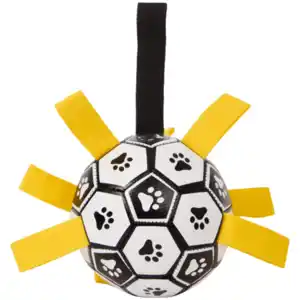 Hundespielball