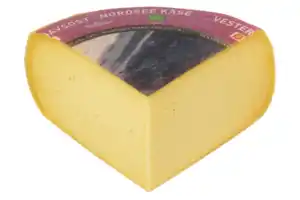 Nordsee-Käse