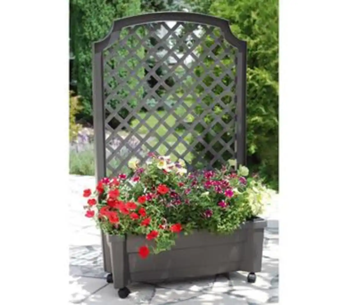 Bild 1 von KHW Kunststoff-Pflanzkasten Calypso, inkl. Spalier und Rollen