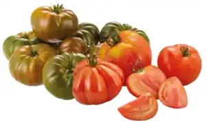 Tomaten