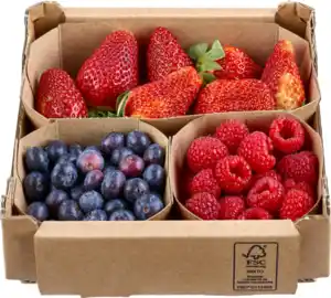Beerenmix