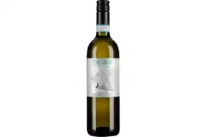 Pinot Grigio DOC Venezia