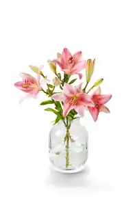 Lilien- oder Chrysanthemenstrauß