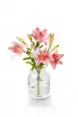 Bild 1 von Lilien- oder Chrysanthemenstrauß