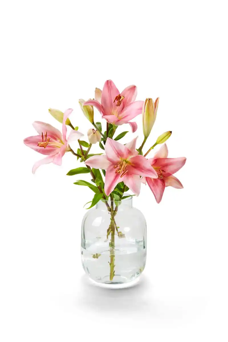 Bild 1 von Lilien- oder Chrysanthemenstrauß