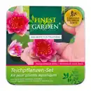 Bild 3 von Finest Garden Exklusives Teichpflanzen-Set