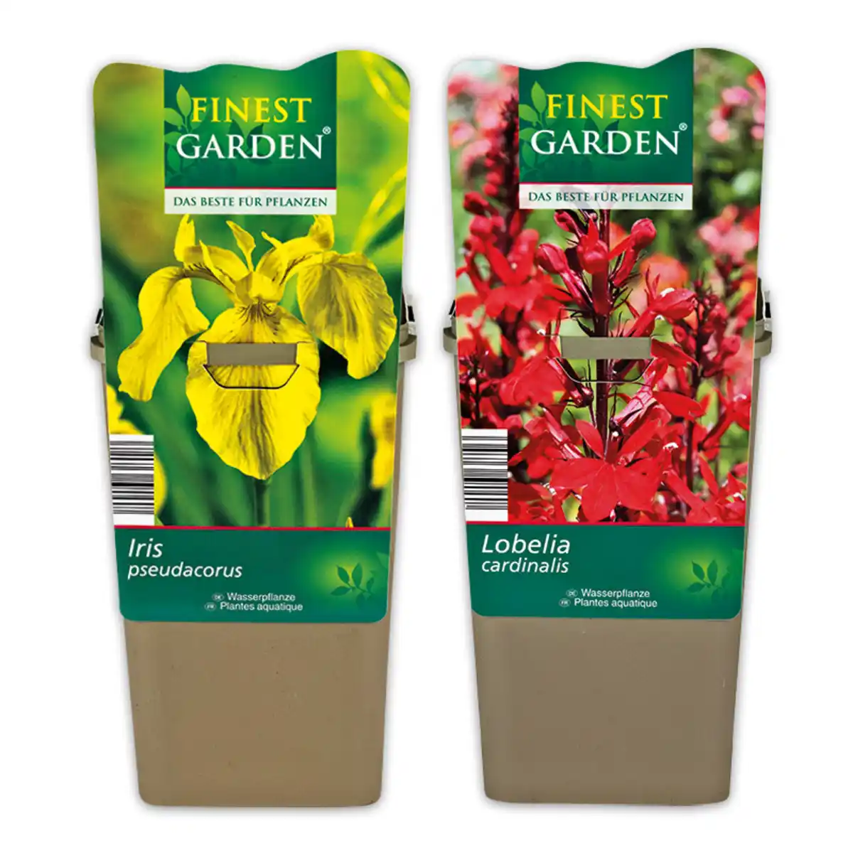 Bild 1 von Finest Garden Wasserpflanzen