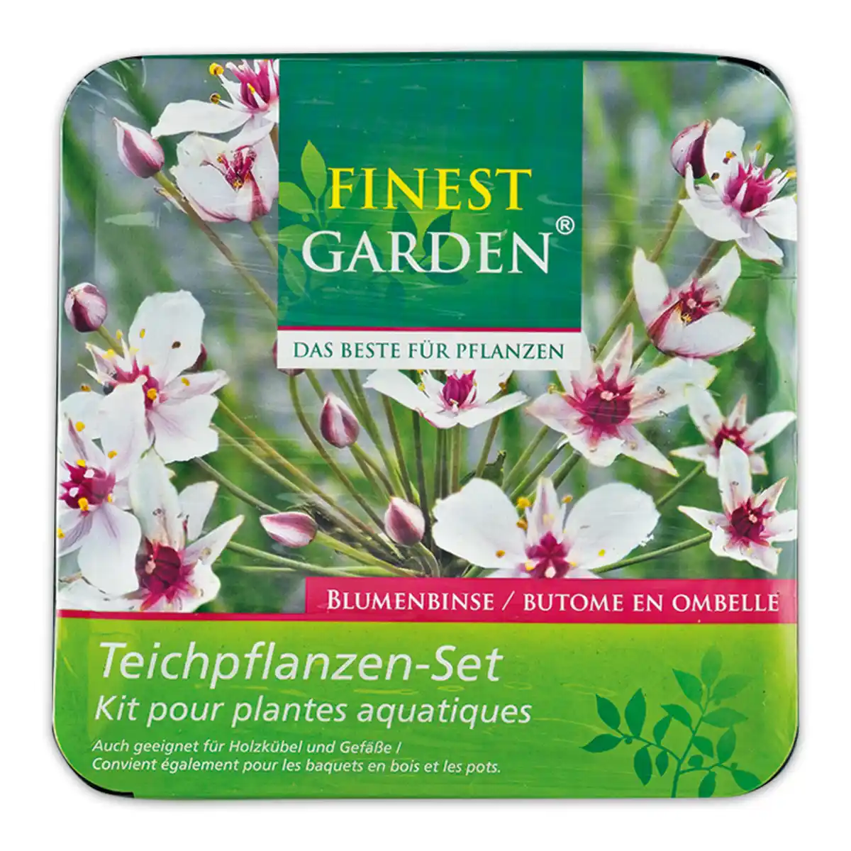Bild 2 von Finest Garden Exklusives Teichpflanzen-Set