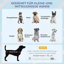 Bild 4 von Hundehütte erhöht Hundehöhle mit Mesh-Fenster für klein mittelgroß Hunde