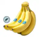 Bild 1 von CHIQUITA Bananen