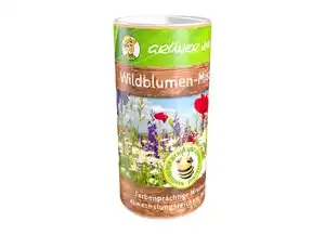 Saatgut Wildblumen-Mischung Saatgut in praktischer Streudose